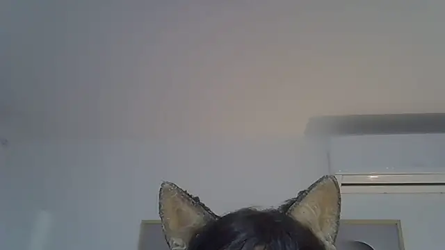 Modelo: SkinnyKitten