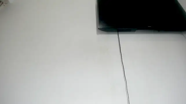 Fox_Loves