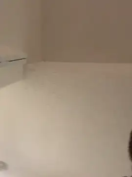 DaddyConnor24