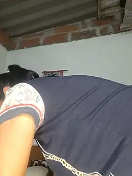 Gree_Fox live cam on StripChat