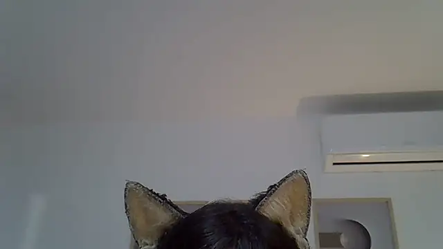 SkinnyKitten