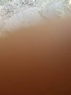 YOURBHABI143