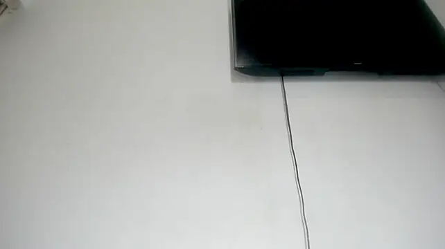 Fox_Loves