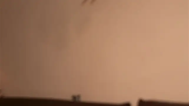 justnala_