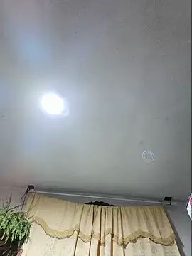 Forastero41 webcam