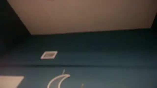 icebergslim281 webcam