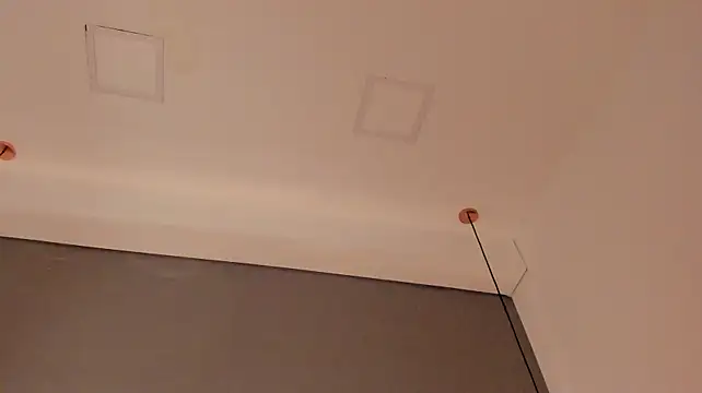 Scarlett_grey1