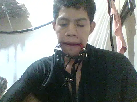 Sumipirsitos live cam preview