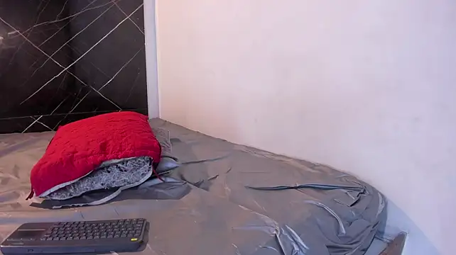 Chirshot_ webcam