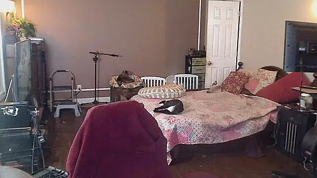 Ireallysquirt live cam preview