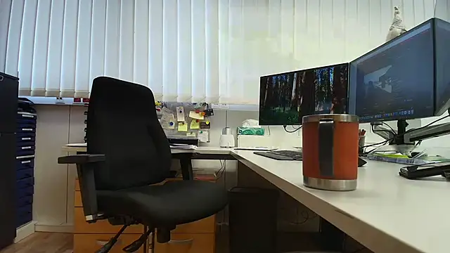lemy3d live cam