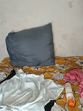 LopingDark webcam