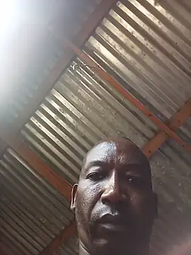 WiseDi live cam