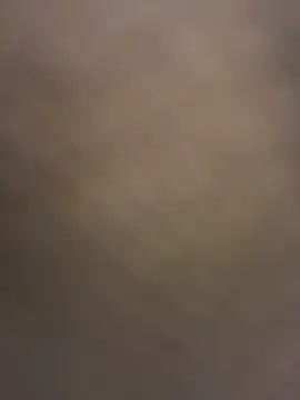 xianyu-ss webcam