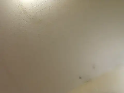 247Srokin webcam