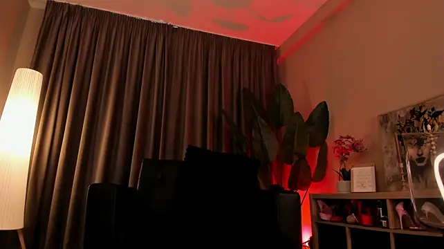 torri_kitten