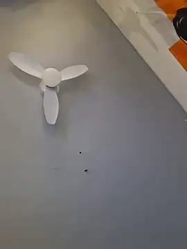 bimexpoexist live cam preview