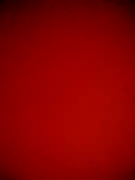 PRIYAHOT99 webcam model