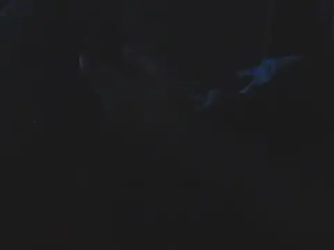 Silencio26
