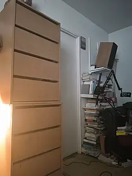 briochin, modèle webcam
