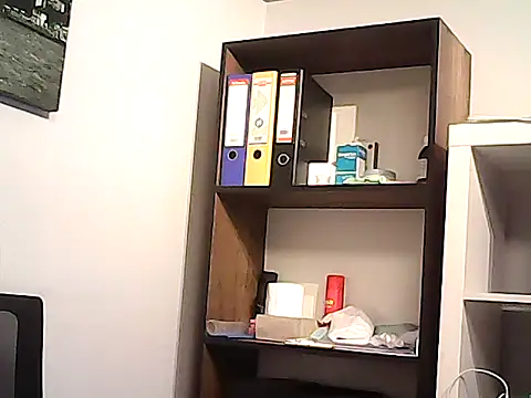 mastercharisma35, modèle webcam