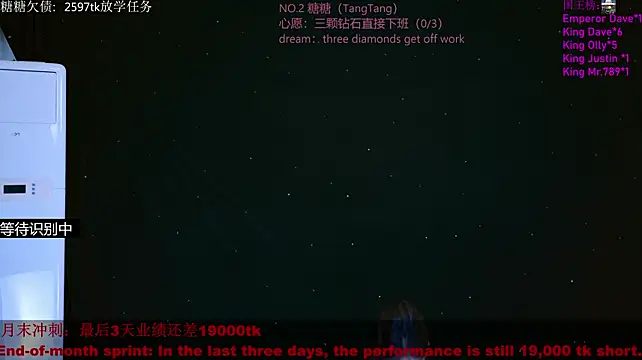 CCTW-100 in webcam