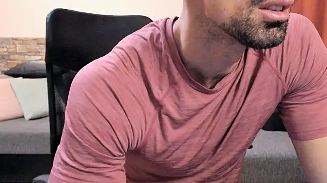 HotHunkTrainer, modèle webcam