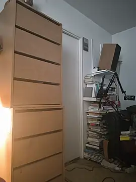 briochin, modèle webcam