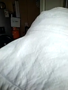 Blxckstallionlive