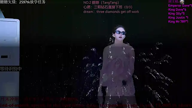 CCTW-100 webcam model