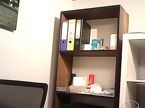 mastercharisma35, modèle webcam