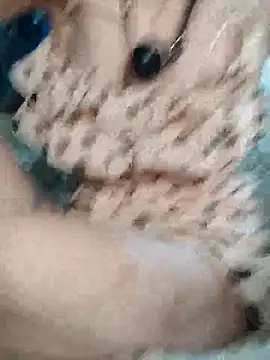 Angie_meow