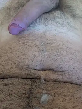 A_DV78, modèle webcam