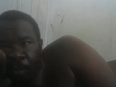 Prikev38452, modelo webcam