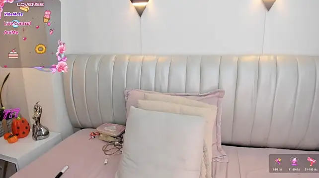 Tiny_Gray webcam model