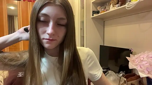 ArleanSteinlicht