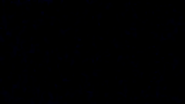 mzleelee