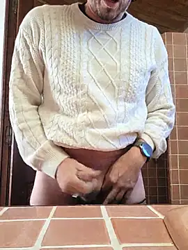 vincelesud webcam model