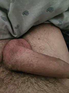 misterBigDick19, modelo de webcam