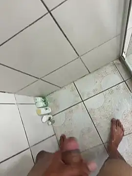 dlpp, modèle webcam