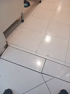 elexs06 live cam