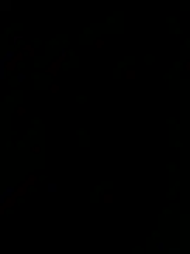 Webcam-Model Tal3456