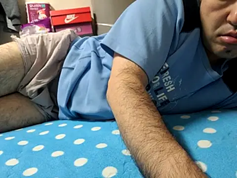bch1045, modèle webcam