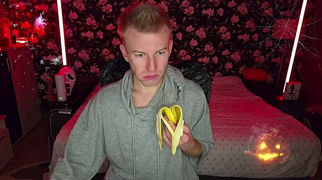 Webcam-Model Vuitton