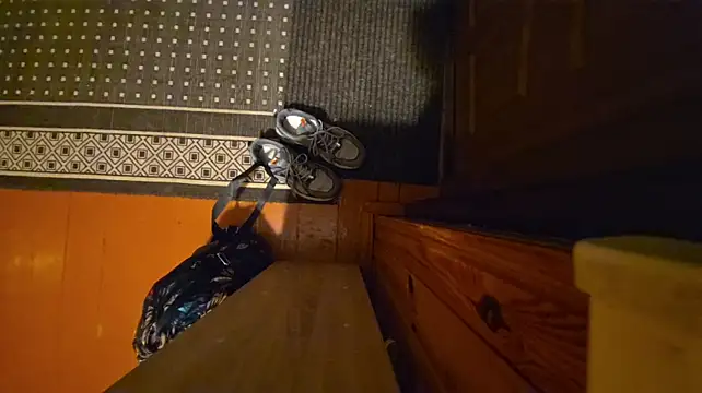 Webcam-Model Vuitton