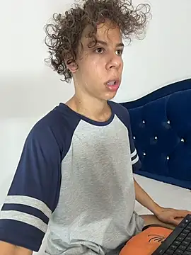 grey___27 webcam