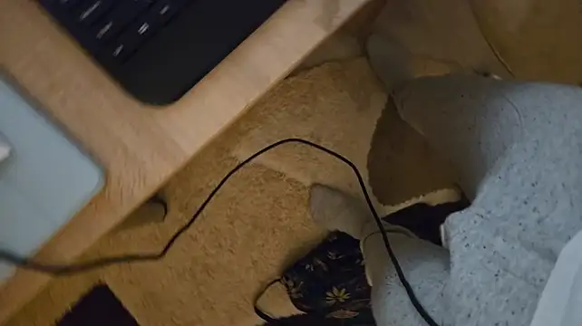 Vuitton in webcam