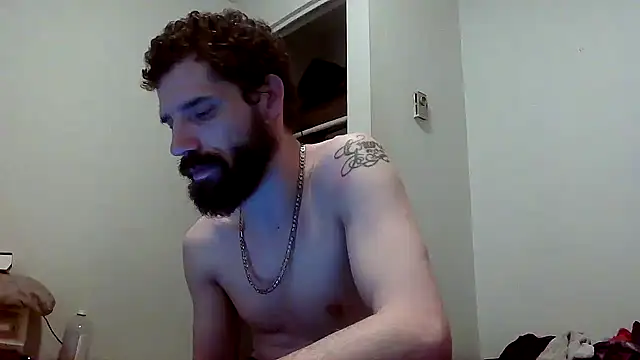 RuleMasterX, modèle webcam