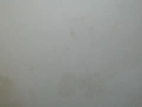Webcam-Model jasminex12