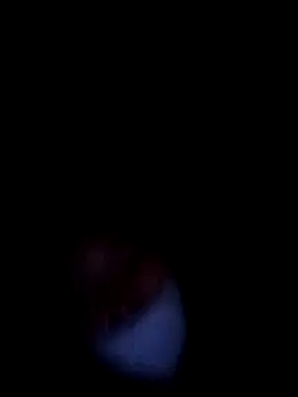 Sexpvt_99